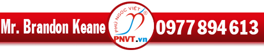 vietnam visa extension for 3 working days